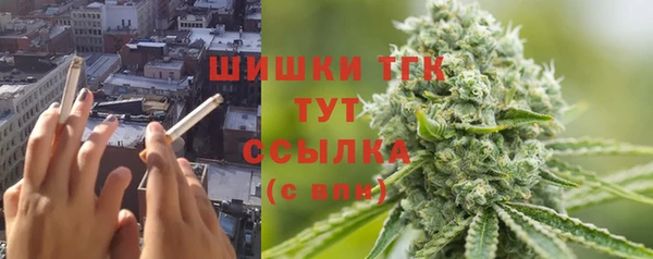 дурь Богданович