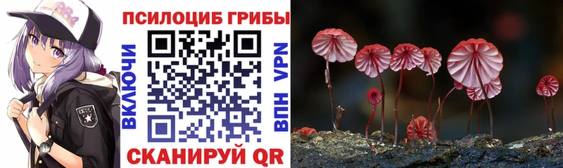 Купить  Печора  Галлюциногенные грибы прущие грибы 